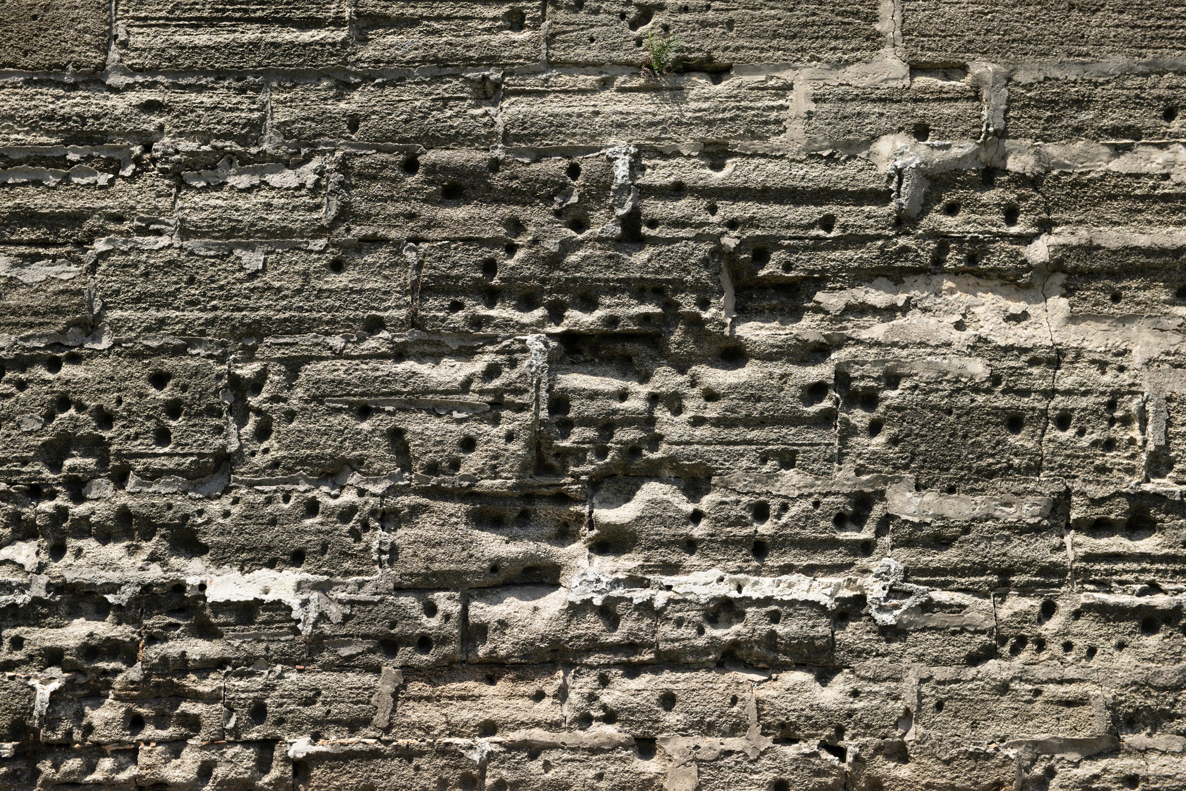 Pitted by centuries of cannon fire yet still standing, the fort’s coquina stone becomes its own kind of testimony….scarred, weathered, and enduring.