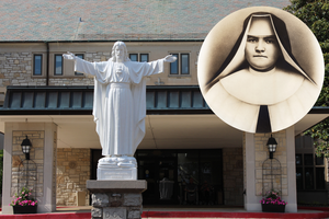 Venerable Sister Theresia was a member of the Carmelite Sisters of the Divine Heart of Jesus, which runs St. Agnes Home in Kirkwood, Missouri. 