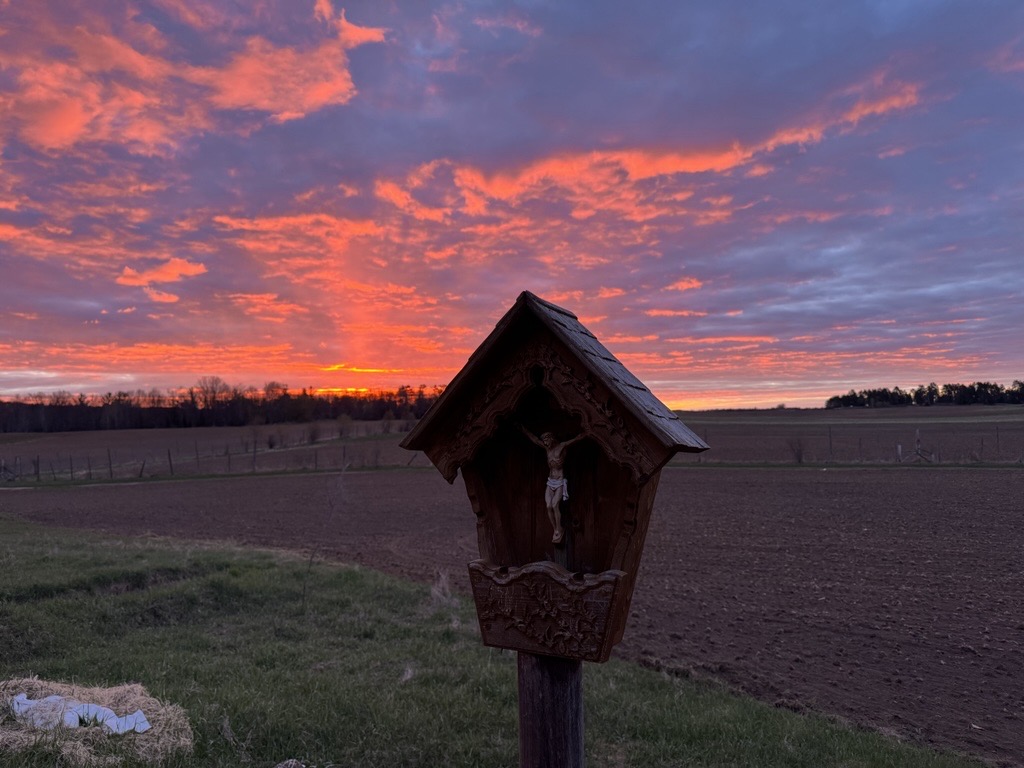 Pellegrini Farms