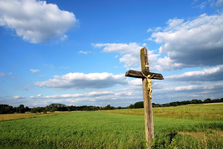 Be Rooted in God’s Word to Reap a Good Harvest Be Rooted in God’s Word to Reap a Good Harvest