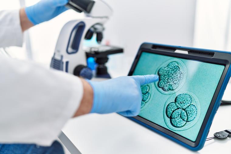 US Bishops Urge Labor Department to Reject Expanding IVF Insurance Coverage