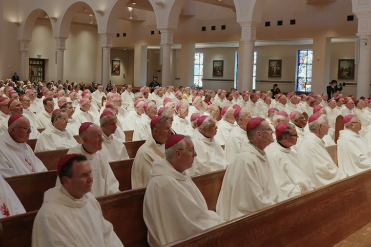 Bishops Embrace Proposed Grant Rules to Restrict Gender Ideology, Oppose Migrant Provisions Bishops Embrace Proposed Grant Rules to Restrict Gender Ideology, Oppose Migrant Provisions