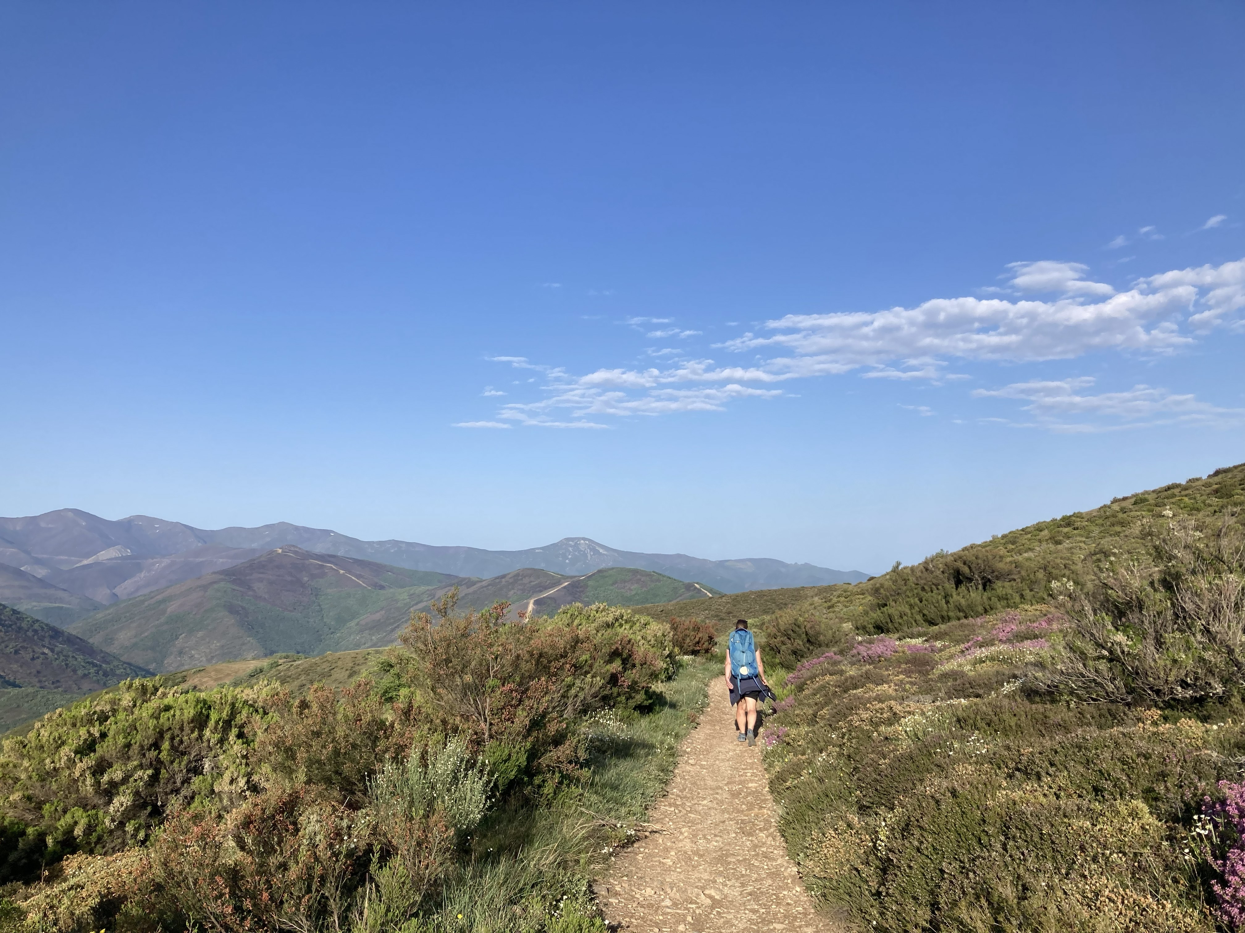 Along the Camino