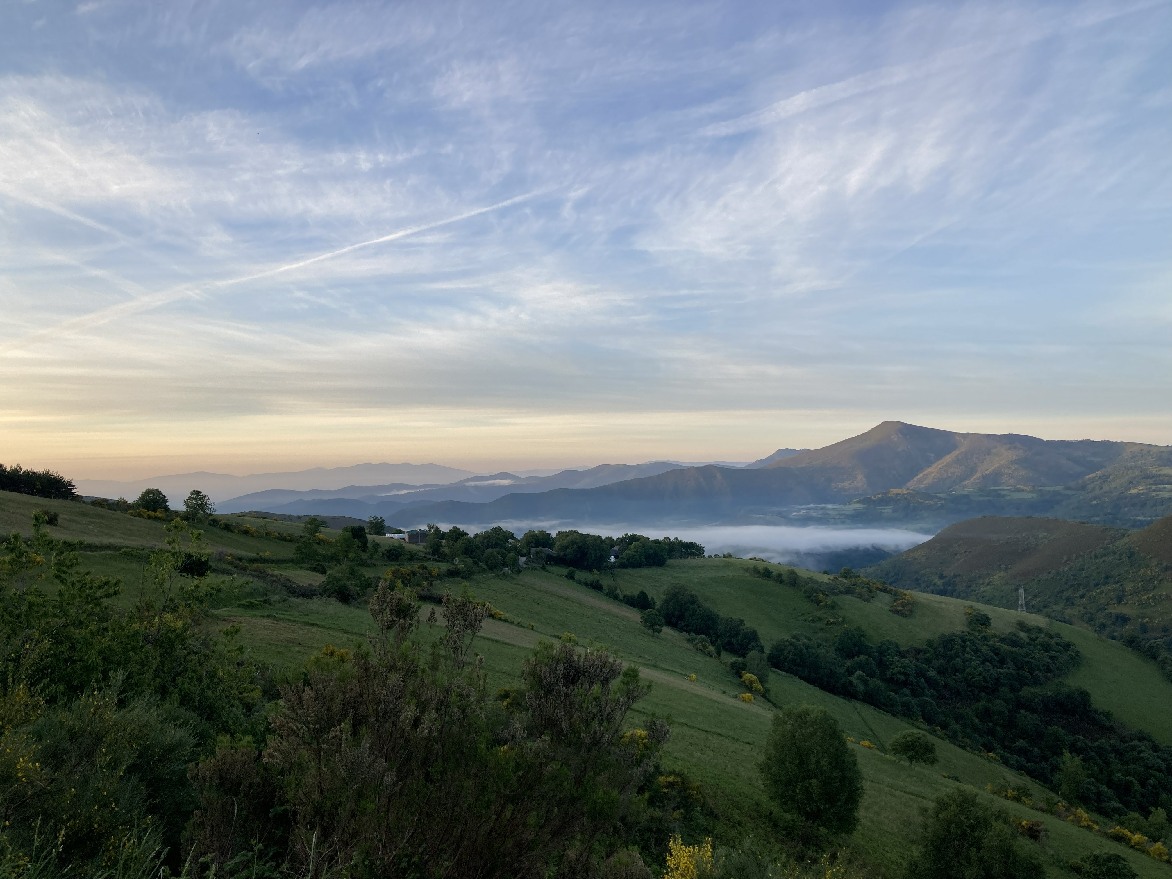 Camino view
