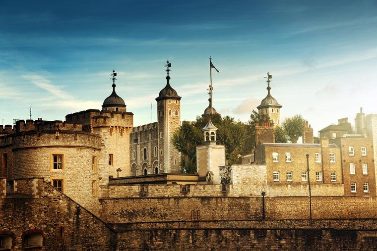 Jesuit Martyrs and the Tudor Terror