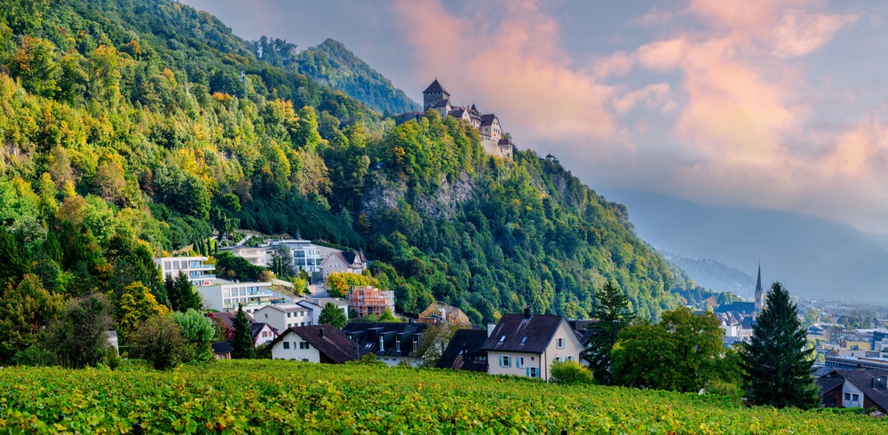 Liechtenstein Parliament Backs Abortion Initiative, but Prince Has the Last Word Liechtenstein Parliament Backs Abortion Initiative, but Prince Has the Last Word